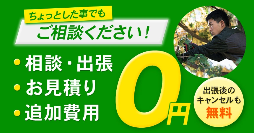 伐採・伐根の事なら1本からでもご相談ください