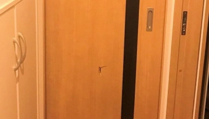 施工事例1